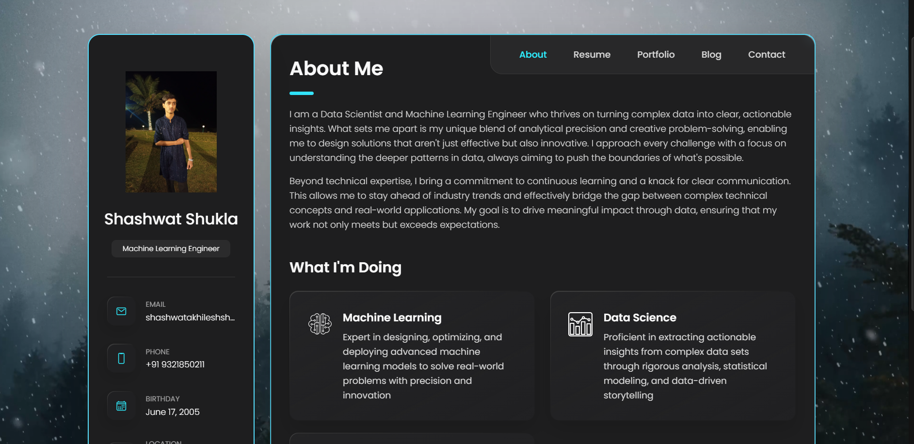 Simple Portfolio
